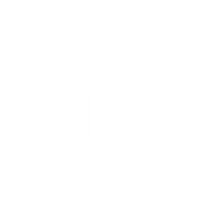 Linkedin-Icon-Cameleon_Architecte-Interieur